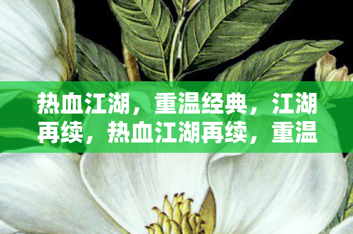 热血江湖再续图片