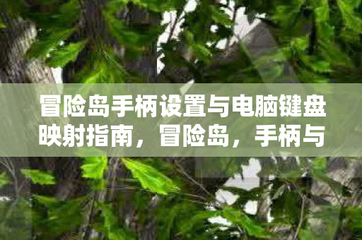 冒险岛手柄设置与电脑键盘映射指南图片