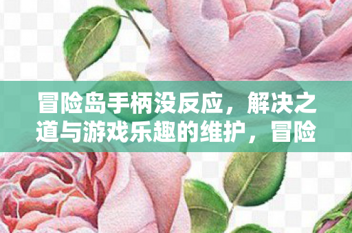 解决之道与游戏乐趣的维护图片