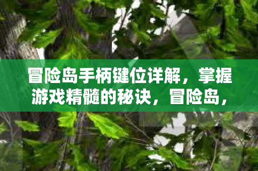 掌握游戏精髓的手柄键位详解图片