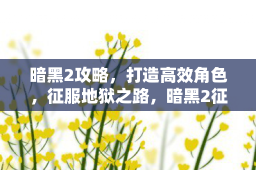 暗黑2攻略，打造高效角色，征服地狱之路，暗黑2征服地狱之路，打造高效角色攻略