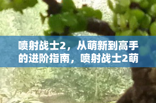 喷射战士2，从萌新到高手的进阶指南，喷射战士2萌新变高手的进阶攻略