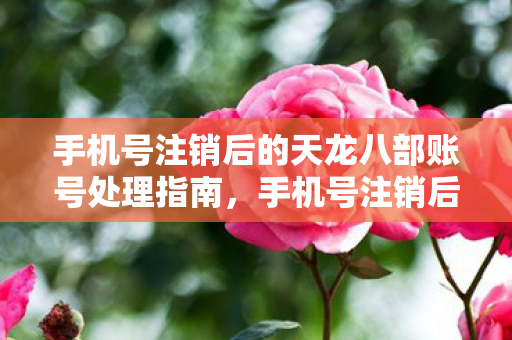 手机号注销后的天龙八部账号处理指南,手机号注销后,如何妥善处置天龙八部账号? 手机号注销后的天龙八部账号处理指南,手机号注销后,如何妥善处置天龙八部账号?