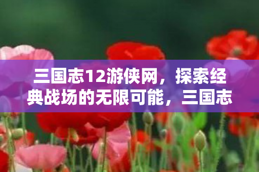 三国志12游侠网,探索经典战场的无限可能,三国志12游侠网,探索经典战场的无限可能 三国志12游侠网,探索经典战场的无限可能,三国志12游侠网,探索经典战场的无限可能