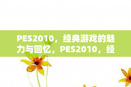 PES2010，经典游戏的魅力与回忆，PES2010，经典游戏的永恒魅力与回忆