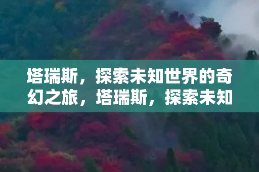 塔瑞斯，探索未知世界的奇幻之旅，塔瑞斯，探索未知世界的奇幻之旅