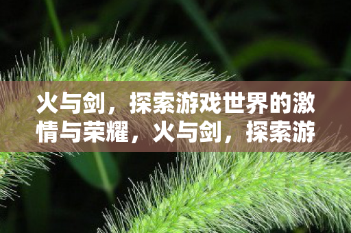 火与剑，探索游戏世界的激情与荣耀，火与剑，探索游戏世界的激情与荣耀