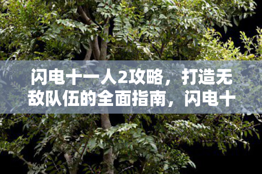 闪电十一人2攻略，打造无敌队伍的全面指南，闪电十一人2打造无敌队伍的全面攻略指南