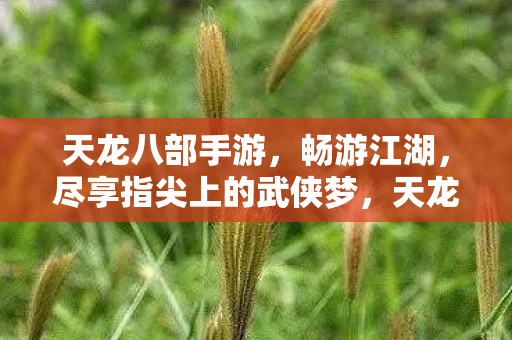 尽享指尖上的武侠梦图片