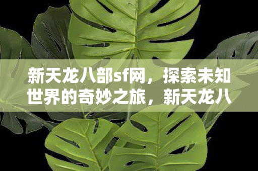 新天龙八部sf网,探索未知世界的奇妙之旅,新天龙八部sf网,开启探索未知世界的奇妙之旅 新天龙八部sf网,探索未知世界的奇妙之旅,新天龙八部sf网,开启探索未知世界的奇妙之旅