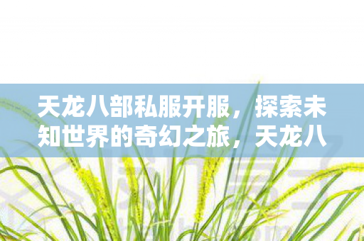 天龙八部私服开服,探索未知世界的奇幻之旅,天龙八部私服开启,探索未知世界的奇幻冒险之旅 天龙八部私服开服,探索未知世界的奇幻之旅,天龙八部私服开启,探索未知世界的奇幻冒险之旅