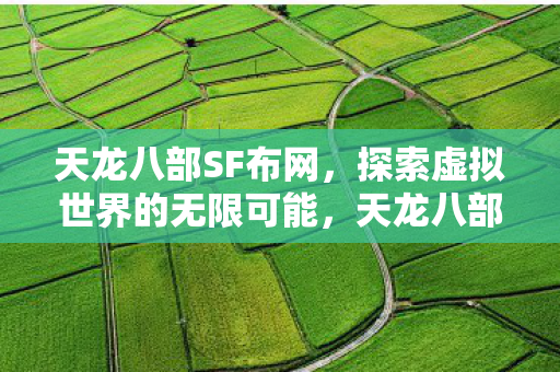 天龙八部SF布网,探索虚拟世界的无限可能,天龙八部SF布网,探索虚拟世界的无限可能 天龙八部SF布网,探索虚拟世界的无限可能,天龙八部SF布网,探索虚拟世界的无限可能