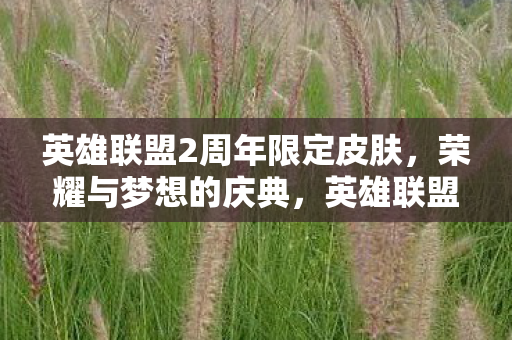 英雄联盟2周年限定皮肤，荣耀与梦想的庆典，英雄联盟2周年庆典，荣耀与梦想的限定皮肤