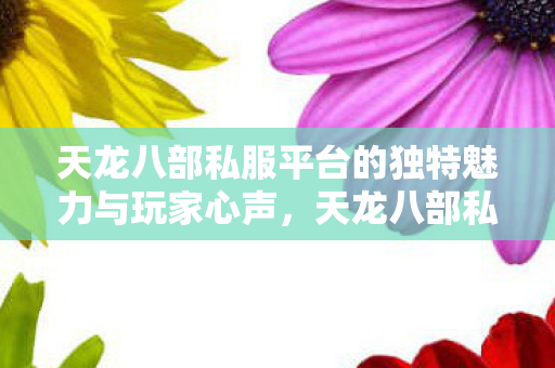 天龙八部私服平台的独特魅力与玩家心声，天龙八部私服，玩家心声与独特魅力
