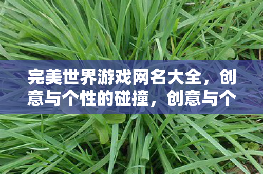 完美世界游戏网名大全图片