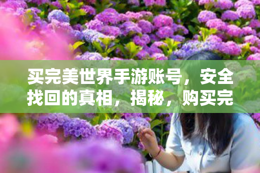 买完美世界手游账号，安全找回的真相，揭秘，购买完美世界手游账号，如何安全找回？