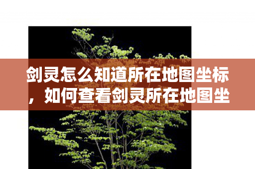 剑灵怎么知道所在地图坐标，如何查看剑灵所在地图坐标