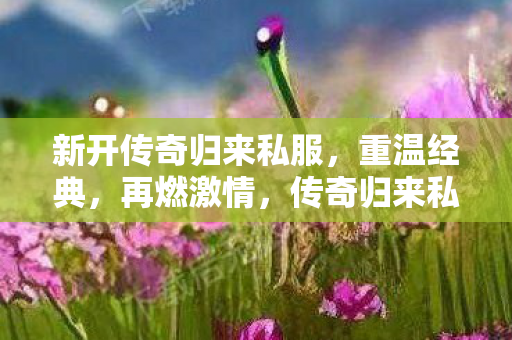 新开传奇归来私服，重温经典，再燃激情，传奇归来私服重温经典，再燃激情