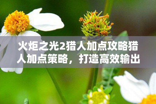 火炬之光2猎人加点攻略猎人加点策略,打造高效输出的火炬之光2猎人,火炬之光2猎人,优化加点策略,打造极致输出 火炬之光2猎人加点攻略猎人加点策略,打造高效输出的火炬之光2猎人,火炬之光2猎人,优化加点策略,打造极致输出