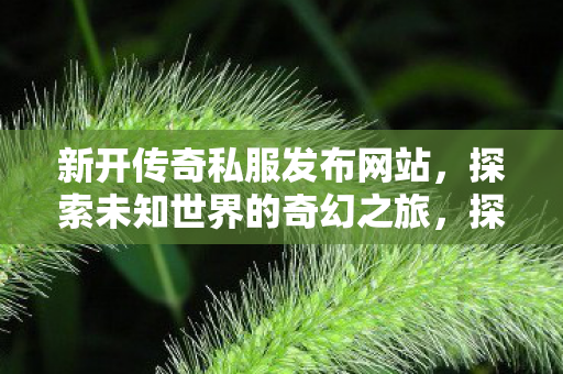 新开传奇私服发布网站，探索未知世界的奇幻之旅，探索未知世界的奇幻之旅，新开传奇私服发布网站