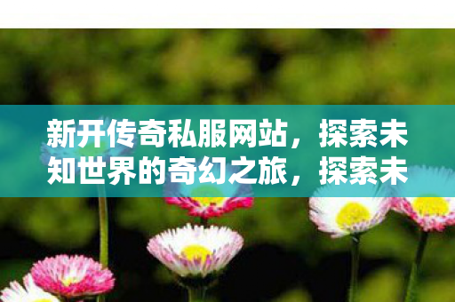 新开传奇私服网站，探索未知世界的奇幻之旅，探索未知世界的奇幻之旅，新开传奇私服网站