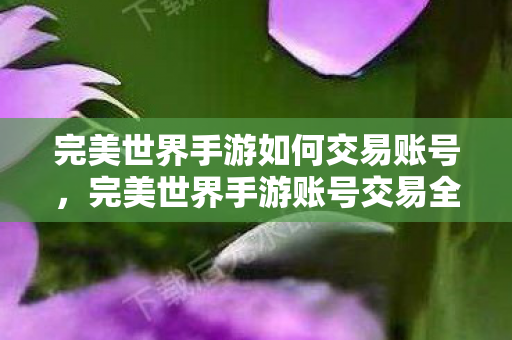 完美世界手游如何交易账号，完美世界手游账号交易全攻略