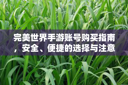 完美世界手游账号购买注意事项图片