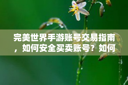 如何安全买卖完美世界手游账号图片