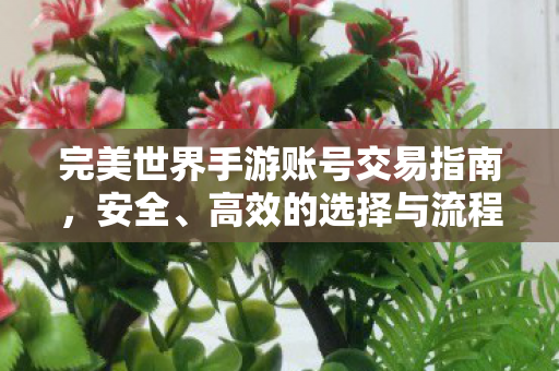完美世界手游账号交易全指南图片