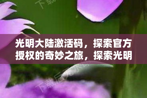 光明大陆激活码，探索官方授权的奇妙之旅，探索光明大陆，官方激活码开启奇妙之旅