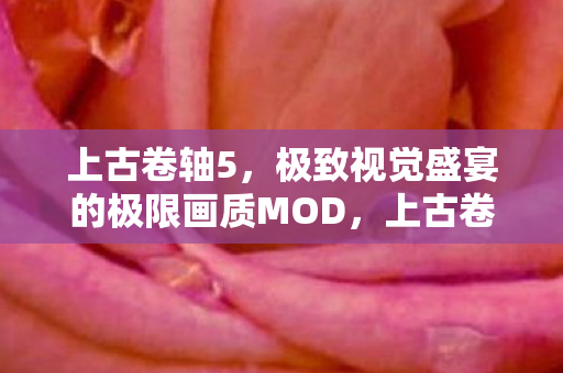 上古卷轴5，极致视觉盛宴的极限画质MOD，上古卷轴5，极限画质MOD打造视觉盛宴