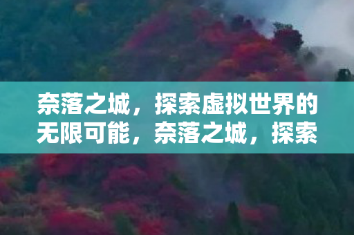 奈落之城,探索虚拟世界的无限可能,奈落之城,探索虚拟世界的无限可能 奈落之城,探索虚拟世界的无限可能,奈落之城,探索虚拟世界的无限可能