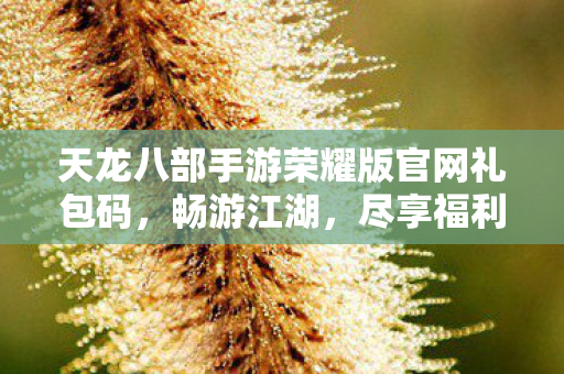 天龙八部手游荣耀版官网礼包码图片