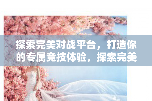 探索完美对战平台,打造你的专属竞技体验,探索完美对战平台,打造专属竞技体验 探索完美对战平台,打造你的专属竞技体验,探索完美对战平台,打造专属竞技体验