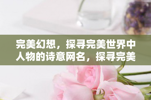 完美幻想，探寻完美世界中人物的诗意网名，探寻完美幻想，诗意网名背后的故事