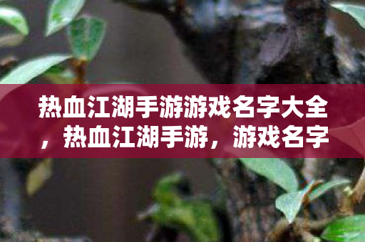 热血江湖手游游戏名字大全图片