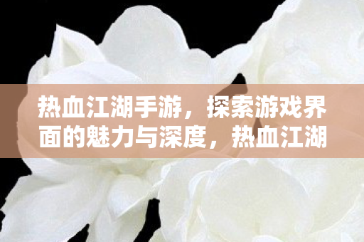 探索游戏界面的魅力与深度图片