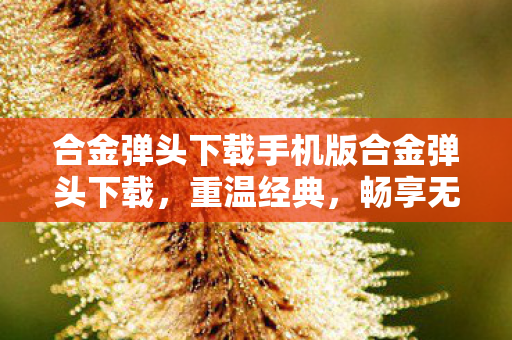 合金弹头下载手机版合金弹头下载，重温经典，畅享无限，合金弹头手机版下载，重温经典，畅享无限乐趣