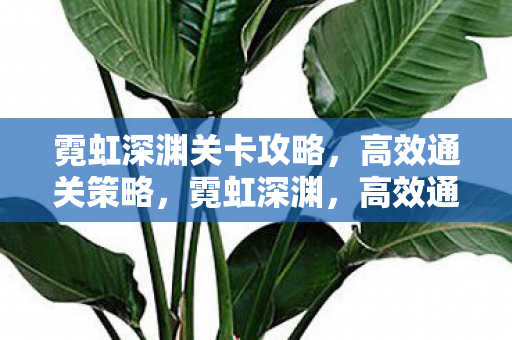 霓虹深渊关卡攻略,高效通关策略,霓虹深渊,高效通关攻略 霓虹深渊关卡攻略,高效通关策略,霓虹深渊,高效通关攻略