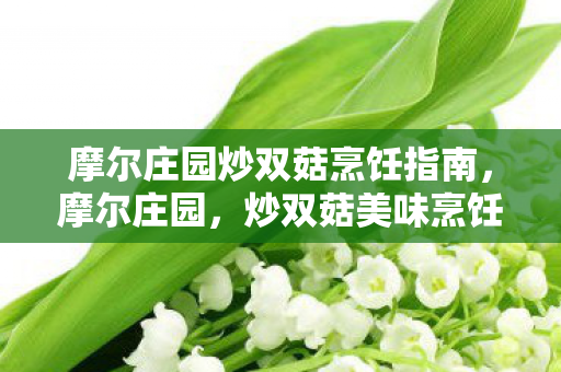 摩尔庄园炒双菇烹饪指南，摩尔庄园，炒双菇美味烹饪秘籍