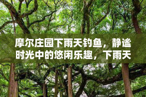 摩尔庄园下雨天钓鱼,静谧时光中的悠闲乐趣,下雨天钓鱼,摩尔庄园的静谧悠闲时光 摩尔庄园下雨天钓鱼,静谧时光中的悠闲乐趣,下雨天钓鱼,摩尔庄园的静谧悠闲时光