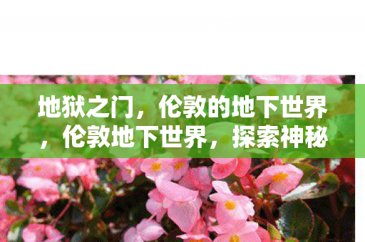 地狱之门,伦敦的地下世界,伦敦地下世界,探索神秘的地狱之门 地狱之门,伦敦的地下世界,伦敦地下世界,探索神秘的地狱之门