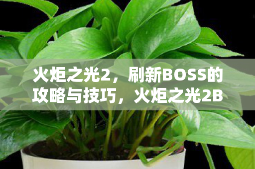 火炬之光2，刷新BOSS的攻略与技巧，火炬之光2BOSS刷新攻略与技巧