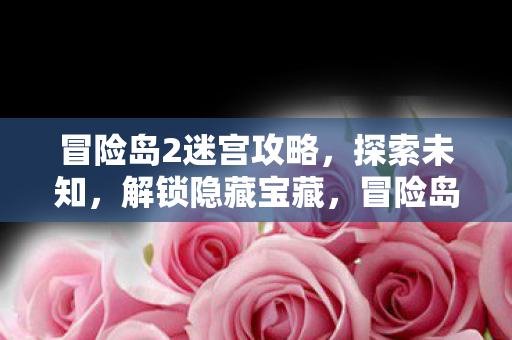 冒险岛2迷宫攻略，探索未知，解锁隐藏宝藏，冒险岛2迷宫探索全攻略，解锁隐藏宝藏，挑战未知！