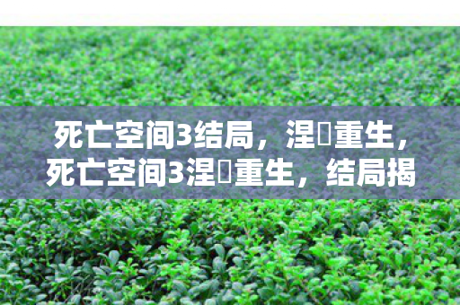 死亡空间3结局，涅槃重生，死亡空间3涅槃重生，结局揭晓