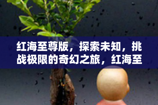 红海至尊版，探索未知，挑战极限的奇幻之旅，红海至尊版，探索未知，挑战极限的奇幻之旅
