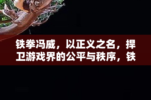 铁拳冯威，以正义之名，捍卫游戏界的公平与秩序，铁拳冯威，捍卫游戏界的公平与秩序
