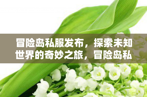 冒险岛私服发布，探索未知世界的奇妙之旅，冒险岛私服发布，开启探索未知世界的奇妙之旅