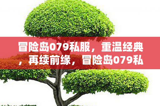冒险岛079私服，重温经典，再续前缘，冒险岛079私服，重温经典，再续前缘