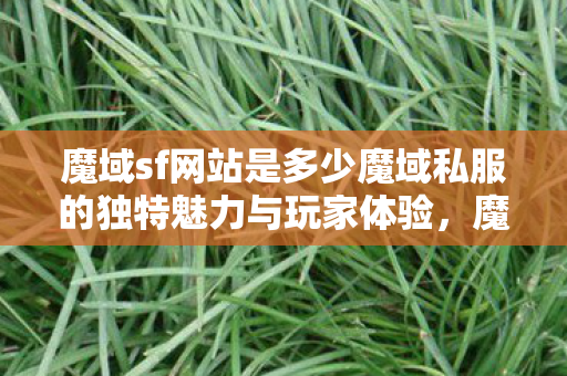 魔域sf网站是多少魔域私服的独特魅力与玩家体验图片